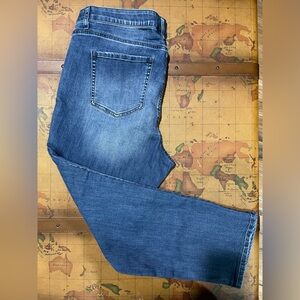 Lane Bryant Medium Blue Wash Denim Straight Leg Relaxed Womens Plus Petite Jeans